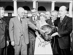 Truman and Turkey --- Stat 434 Winning Turkey
