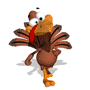 turkey walking confidently